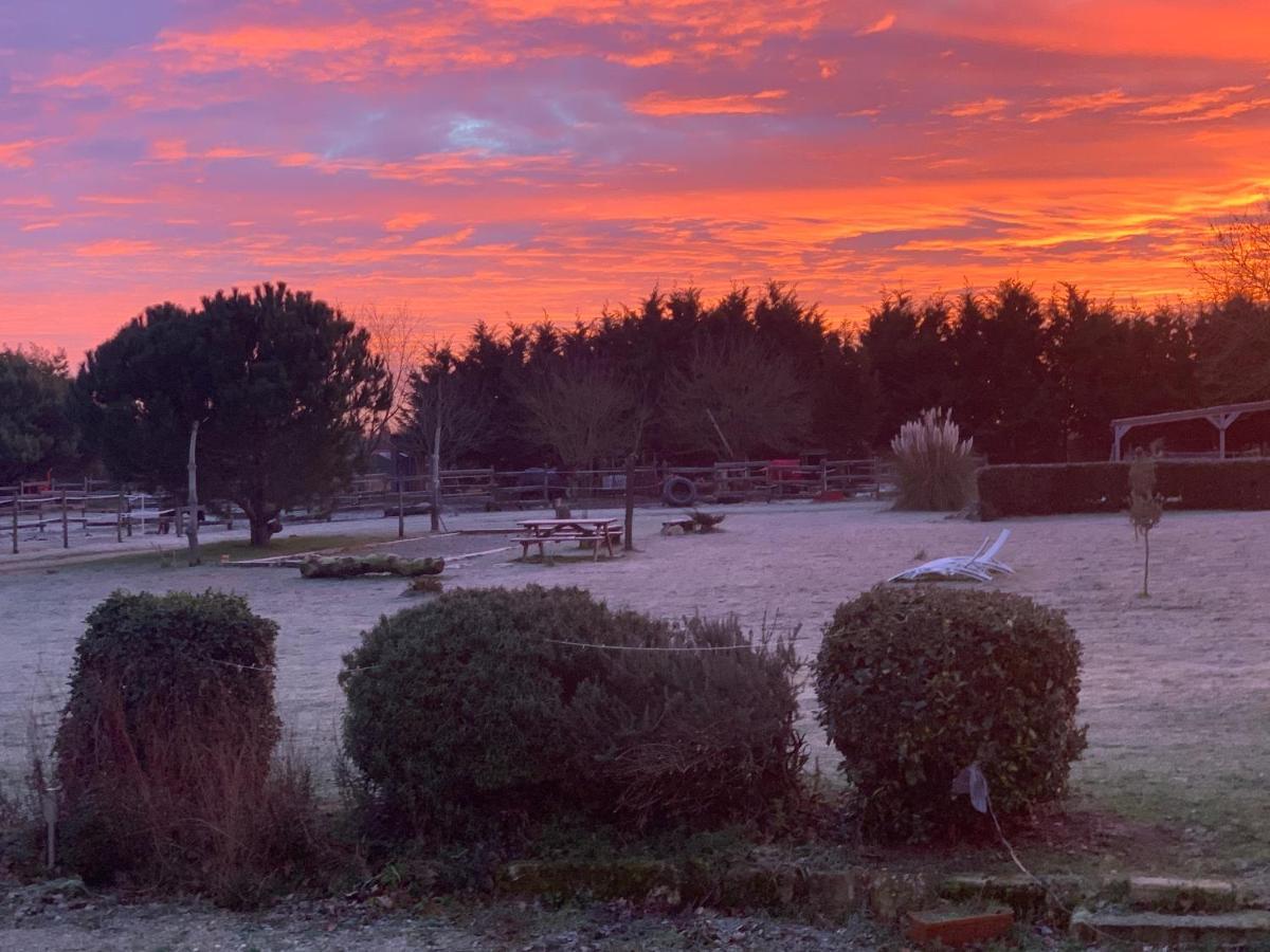 فندق Domaine Terroceane La-Gripperie-Saint-Symphorien المظهر الخارجي الصورة