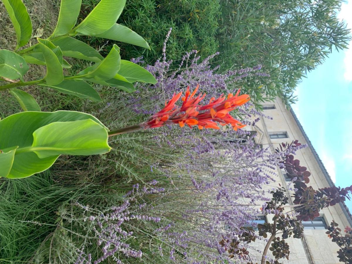 فندق Domaine Terroceane La-Gripperie-Saint-Symphorien المظهر الخارجي الصورة