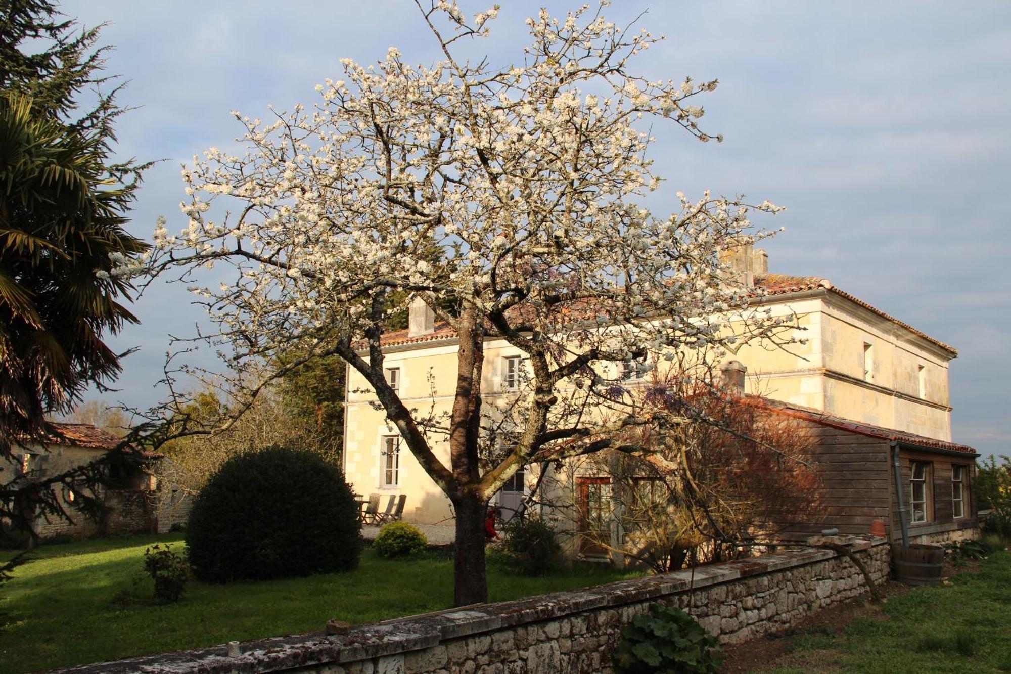 فندق Domaine Terroceane La-Gripperie-Saint-Symphorien المظهر الخارجي الصورة