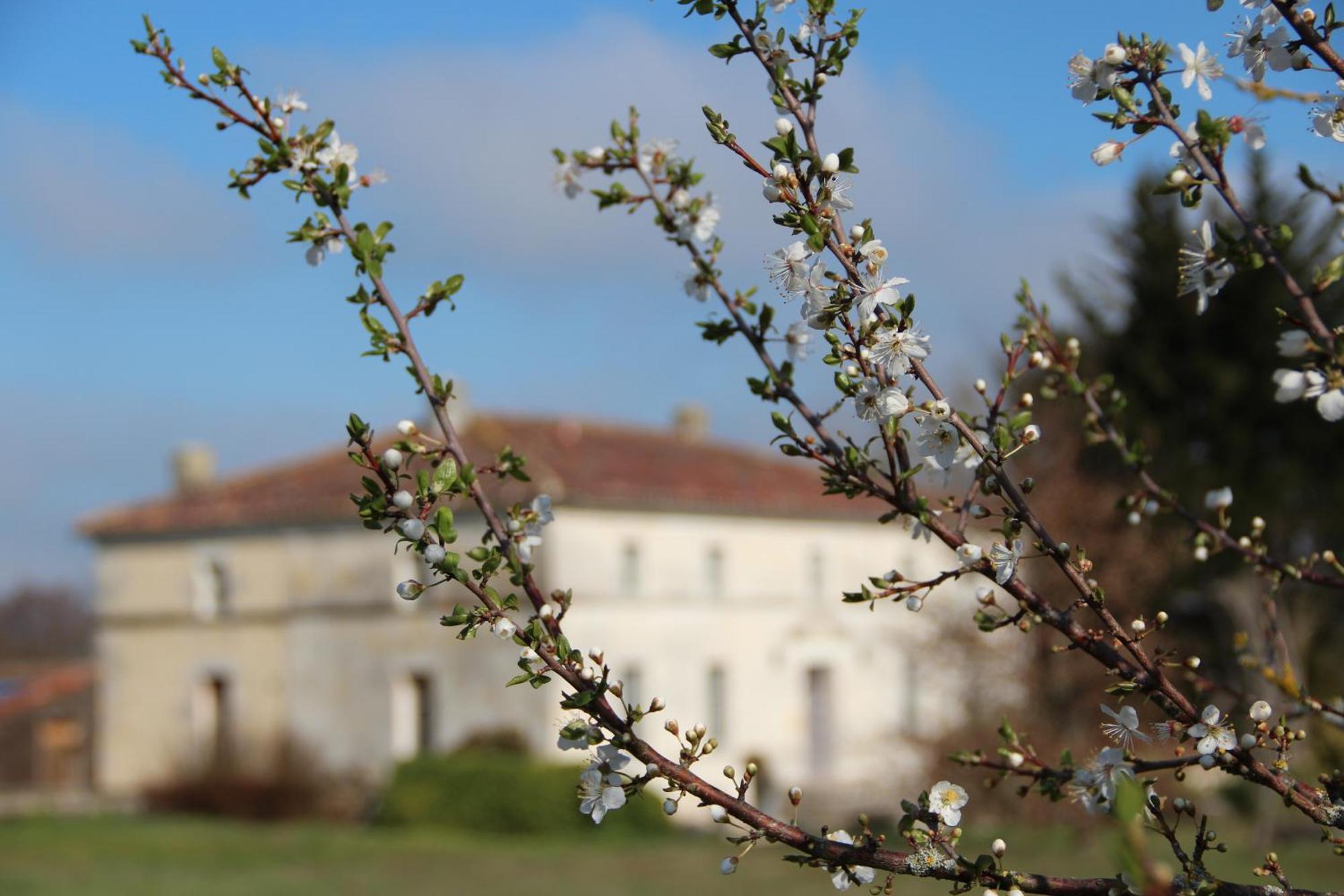 فندق Domaine Terroceane La-Gripperie-Saint-Symphorien المظهر الخارجي الصورة