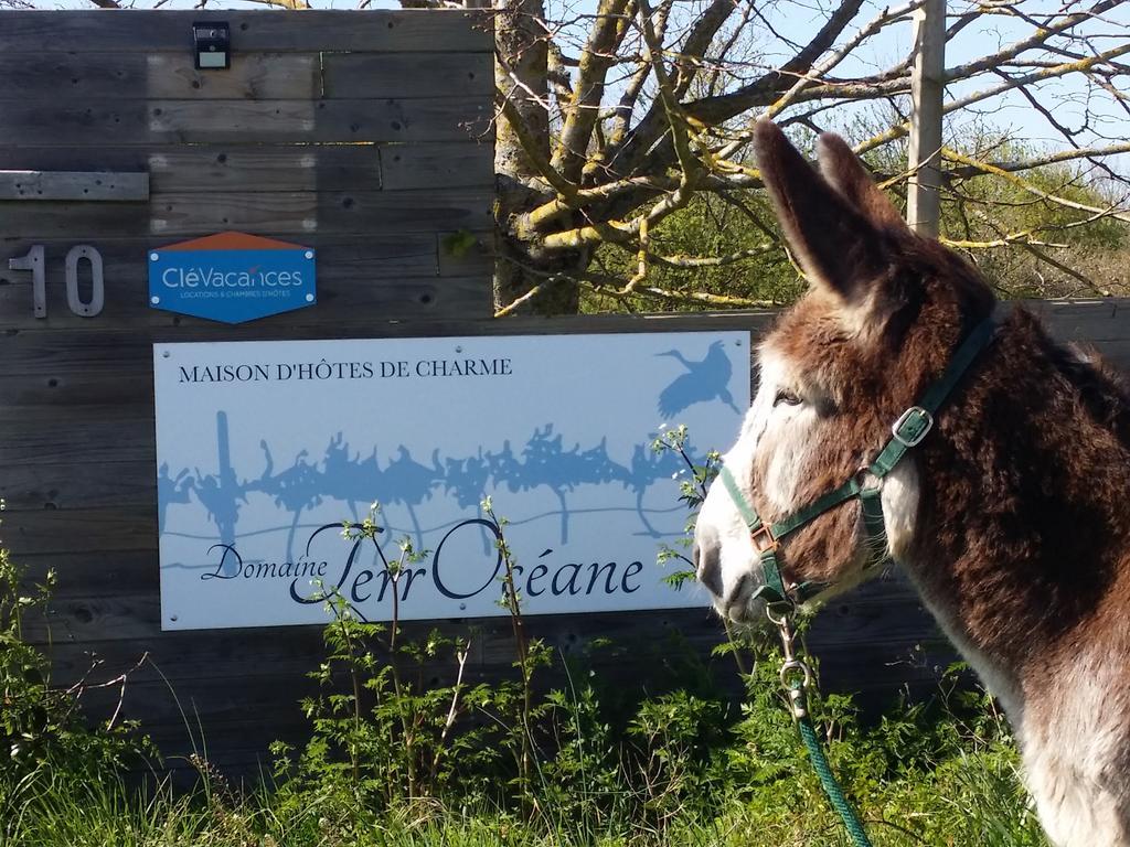 فندق Domaine Terroceane La-Gripperie-Saint-Symphorien المظهر الخارجي الصورة