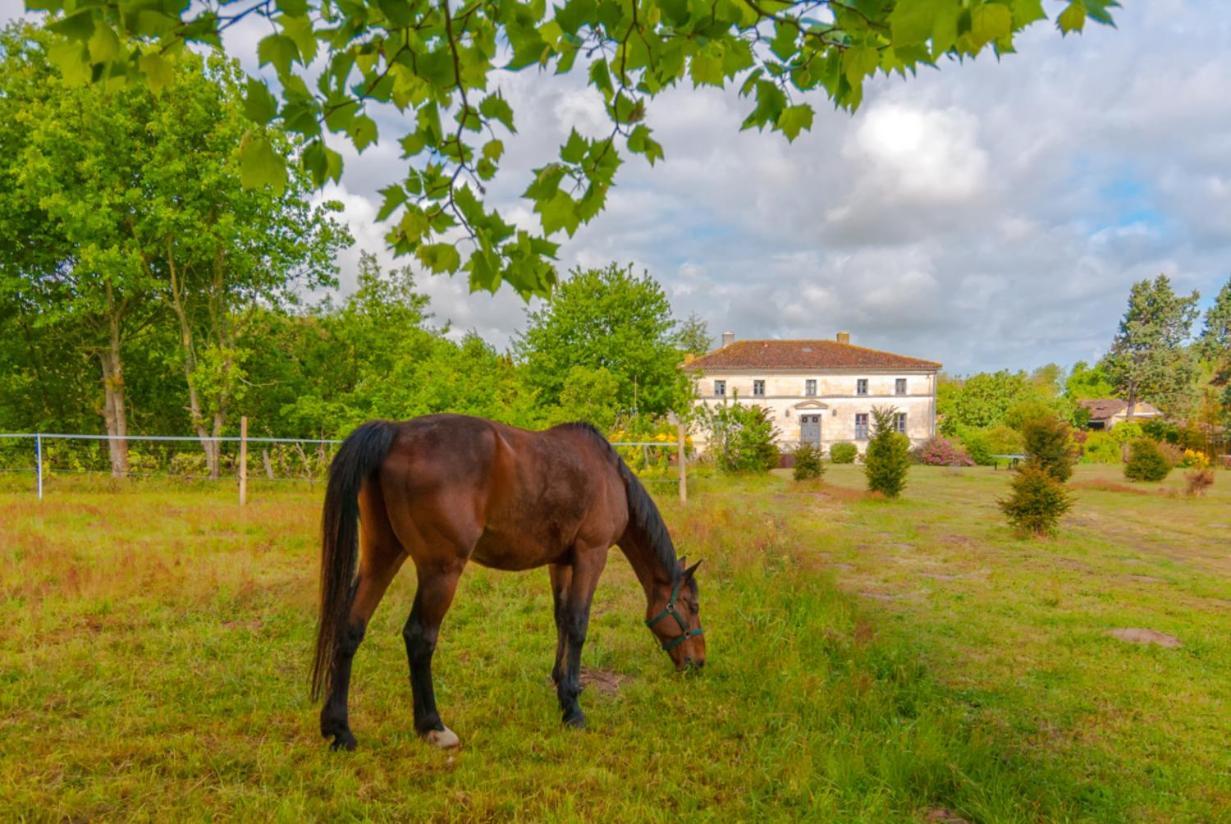 فندق Domaine Terroceane La-Gripperie-Saint-Symphorien المظهر الخارجي الصورة